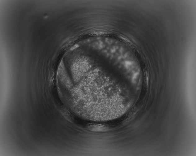 X0000084560507200703231802