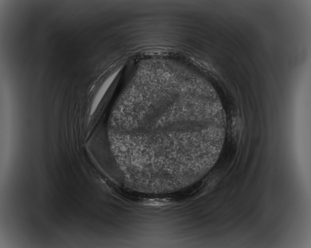 X0000084560508200703231802