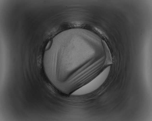 X0000084560509200703231802