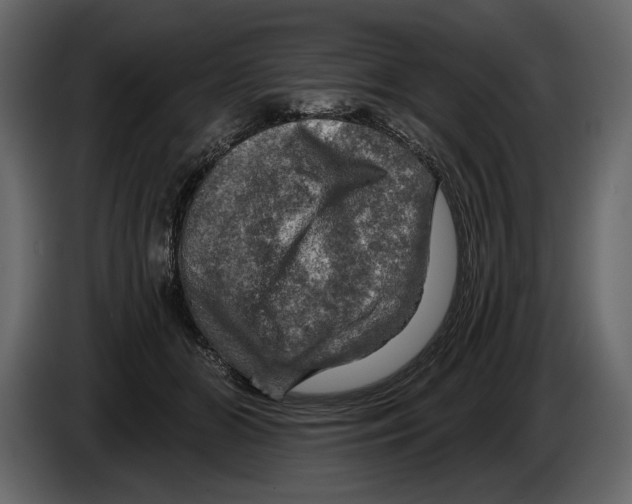 X0000084560510200703231802