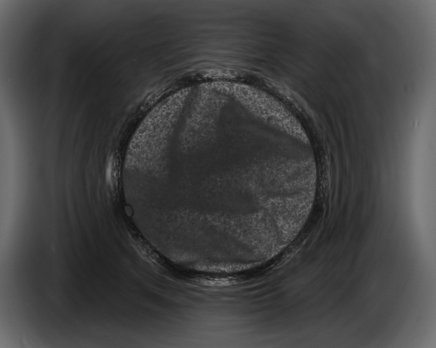 X0000084560513200703231802