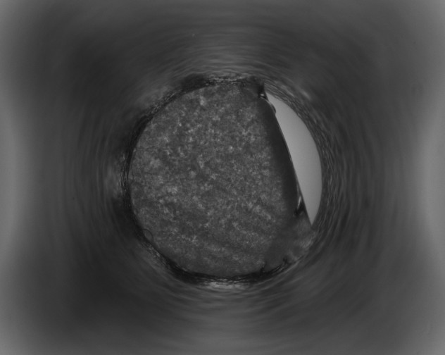 X0000084560515200703231802