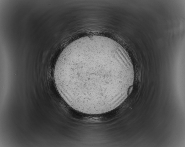 X0000084560518200703231802