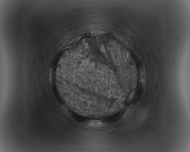 X0000084560519200703231802