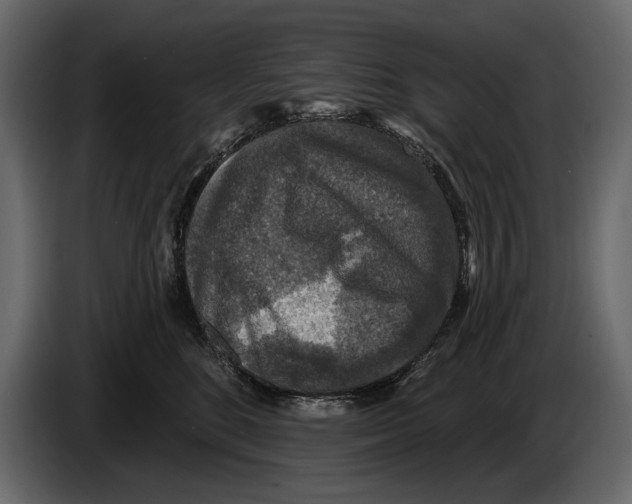 X0000084560520200703231802