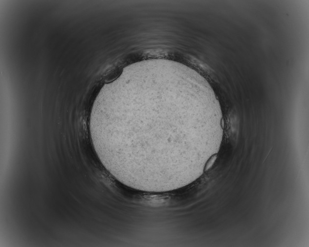 X0000084560522200703231802