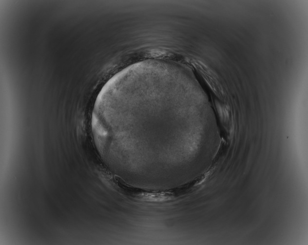 X0000084560524200703231802