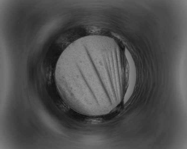 X0000084560525200703231802