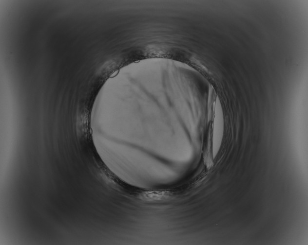 X0000084560526200703231802