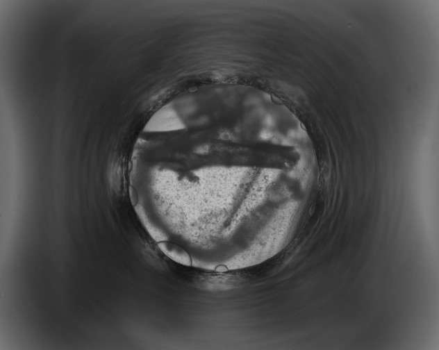 X0000084560527200703231802