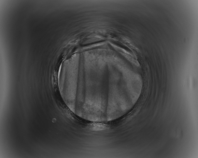 X0000084560528200703231802