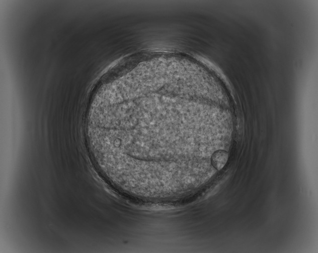 X0000084560529200703231801