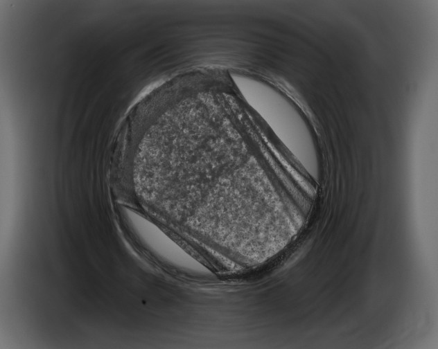 X0000084560530200703231801