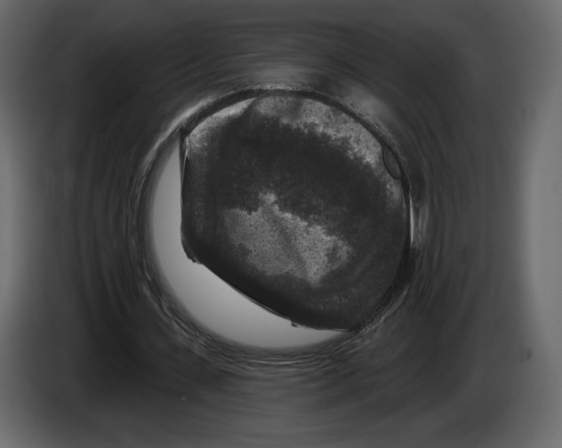 X0000084560531200703231801