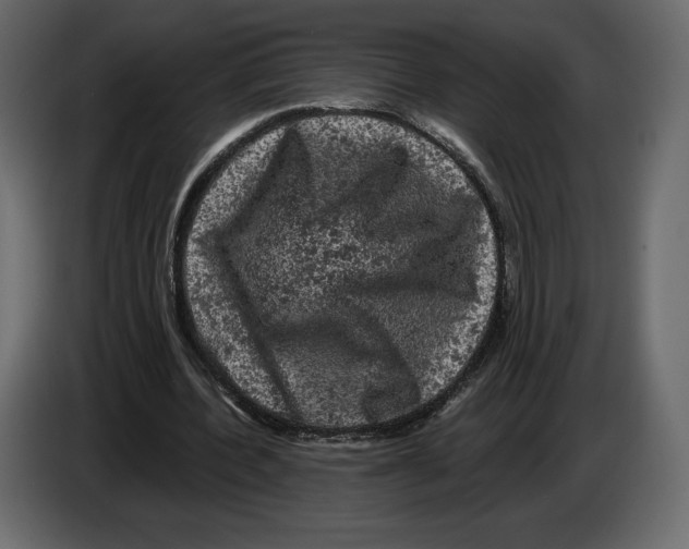 X0000084560532200703231801