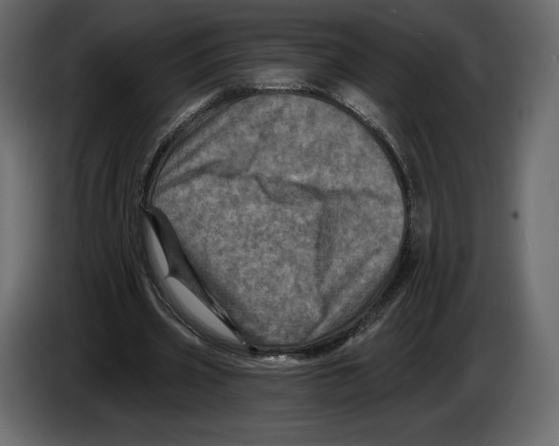 X0000084560533200703231801