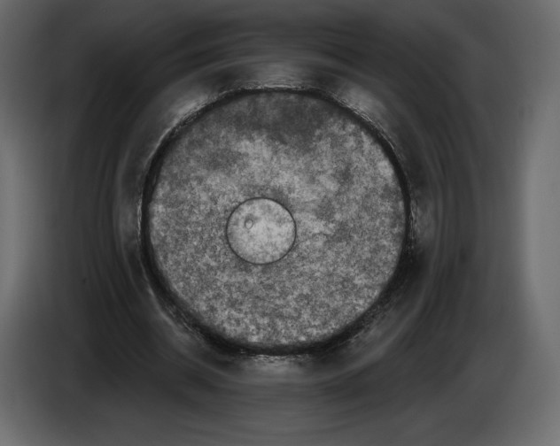 X0000084560534200703231801