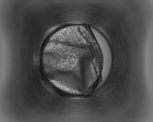 X0000084560536200703231801