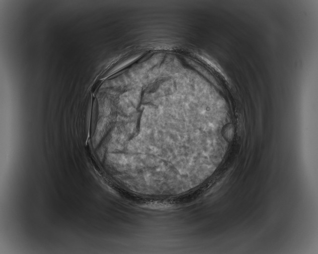 X0000084560537200703231801