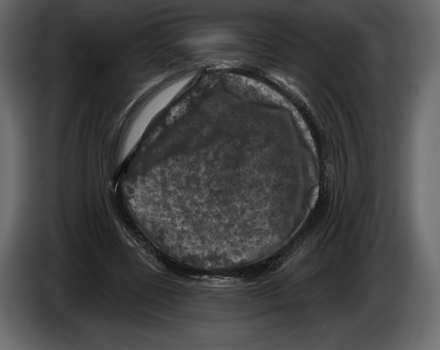 X0000084560539200703231801