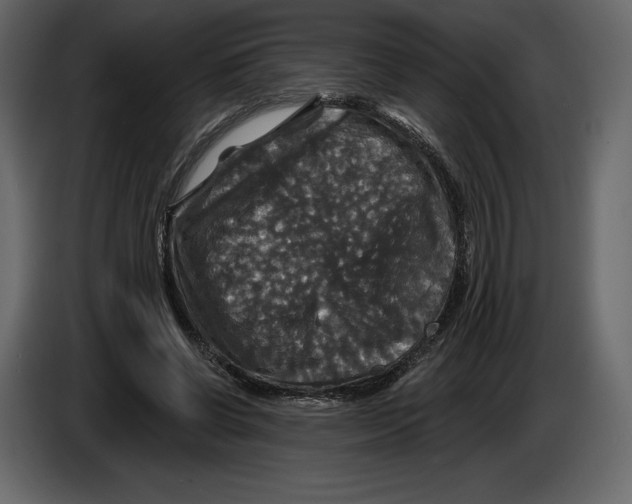 X0000084560542200703231801