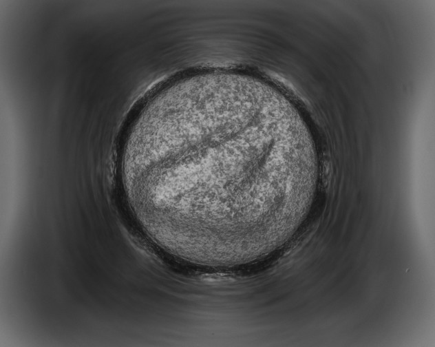 X0000084560544200703231801