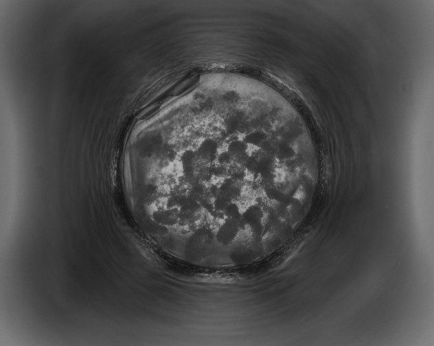 X0000084560545200703231801