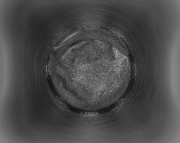 X0000084560546200703231801