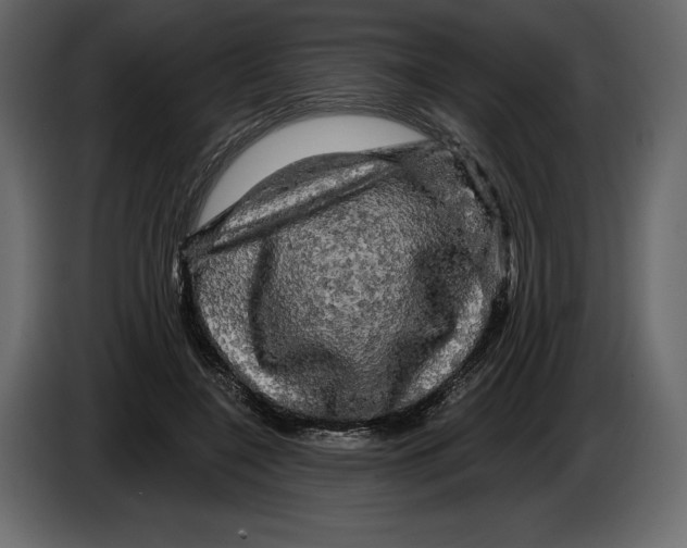 X0000084560548200703231801