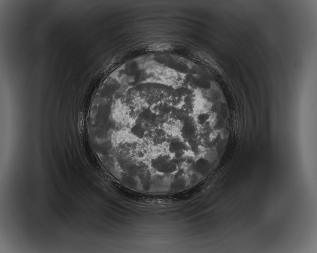 X0000084560549200703231801