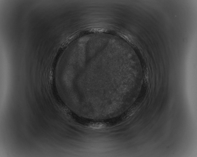 X0000084560551200703231801