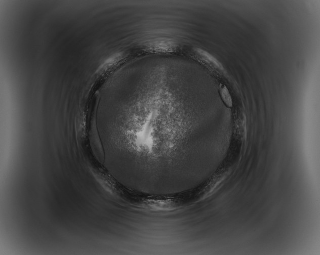 X0000084560552200703231801