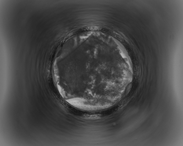 X0000084560553200703231801