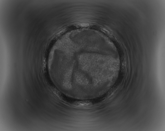 X0000084560555200703231801