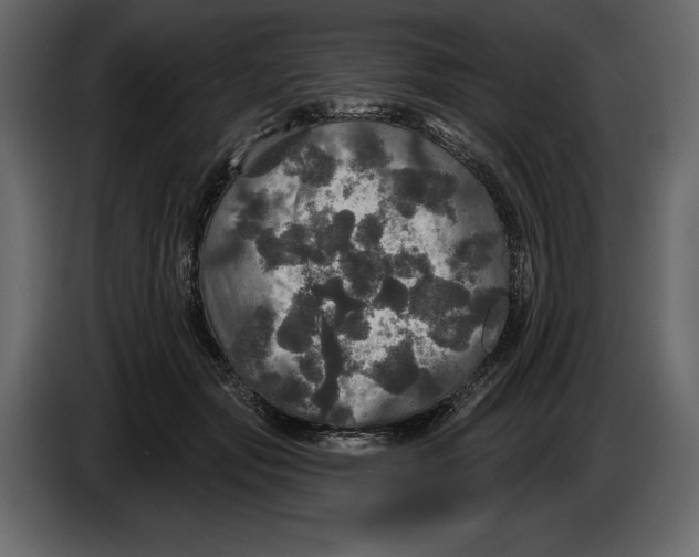 X0000084560557200703231801