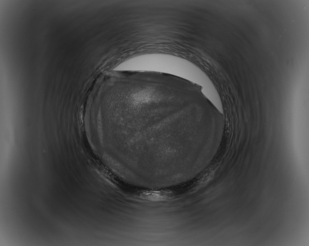 X0000084560558200703231801