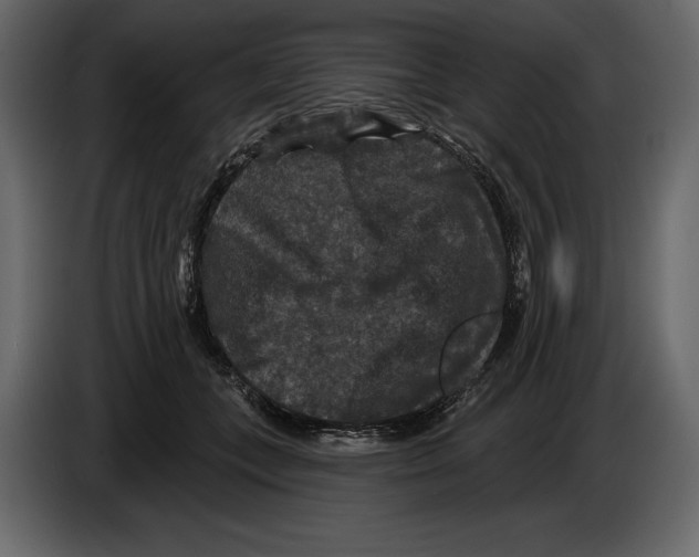 X0000084560559200703231801