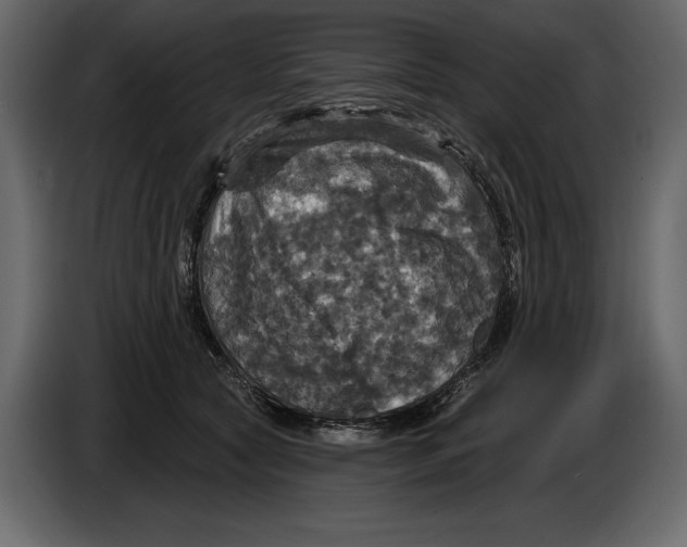 X0000084560561200703231801