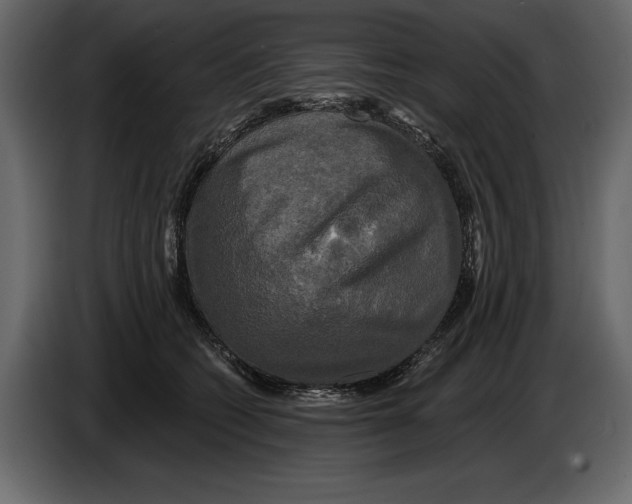 X0000084560562200703231801