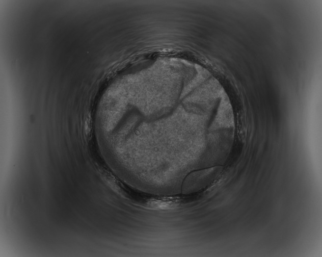 X0000084560563200703231801