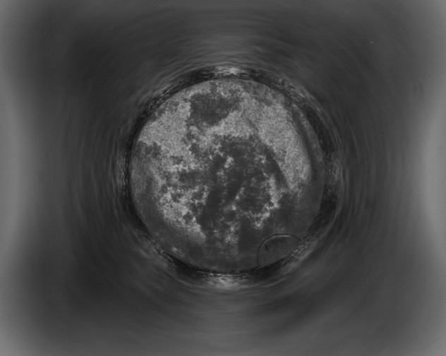 X0000084560565200703231801