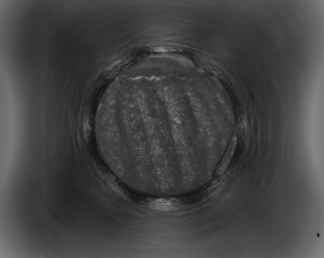 X0000084560566200703231801