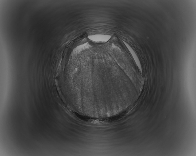 X0000084560568200703231801