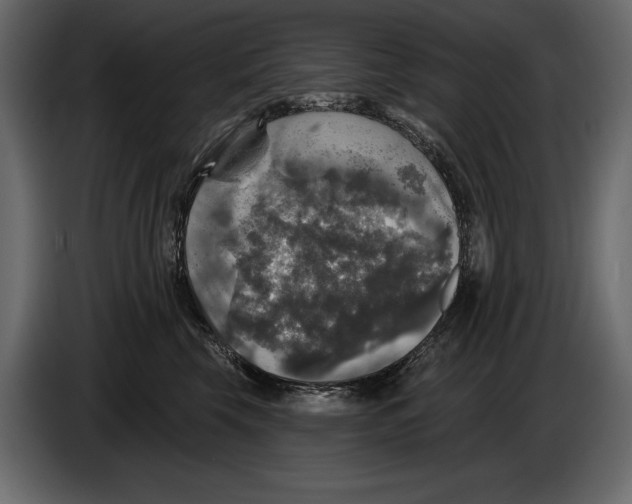 X0000084560569200703231802