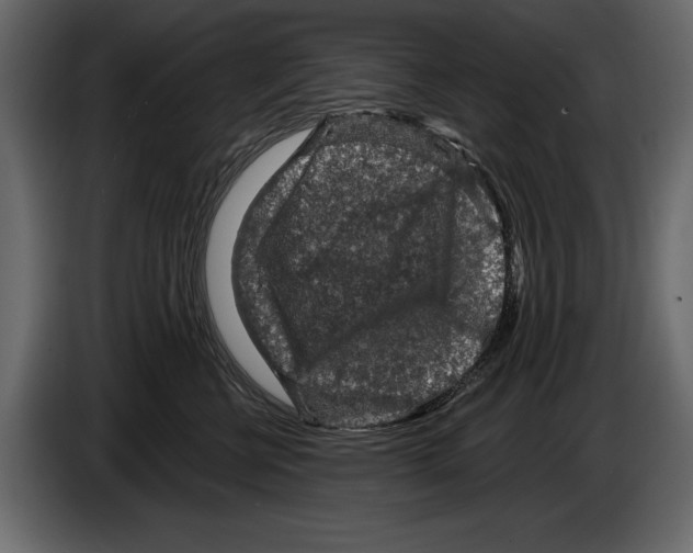 X0000084560570200703231802