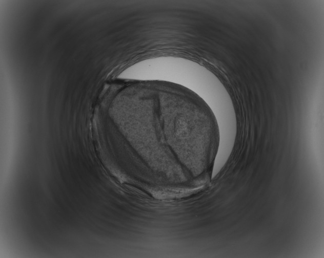 X0000084560572200703231802