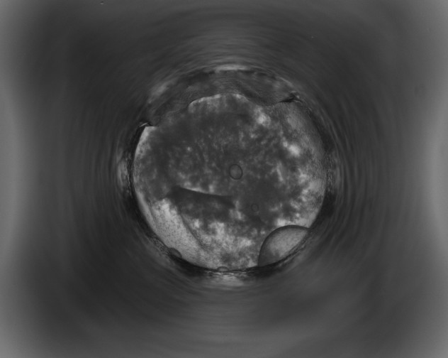 X0000084560573200703231802