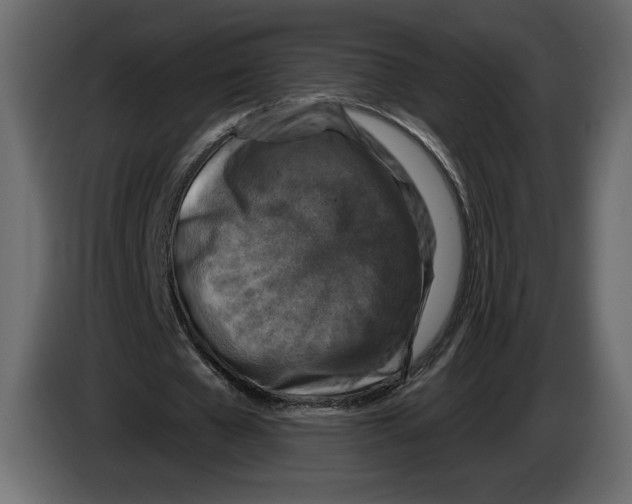 X0000084560577200703231801