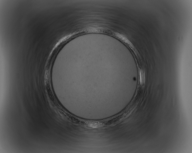 X0000084560579200703231801