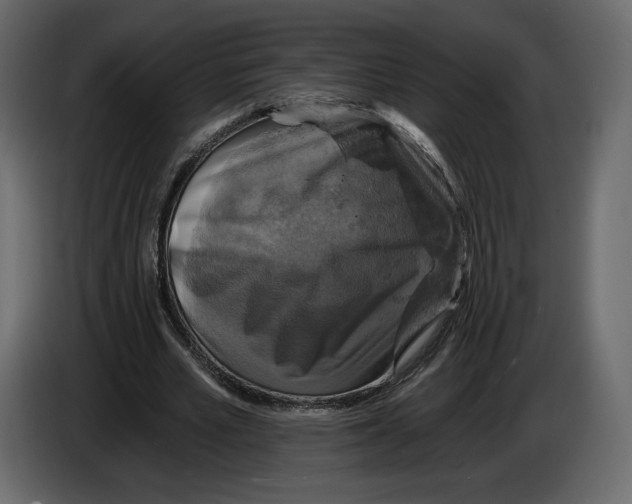 X0000084560581200703231801